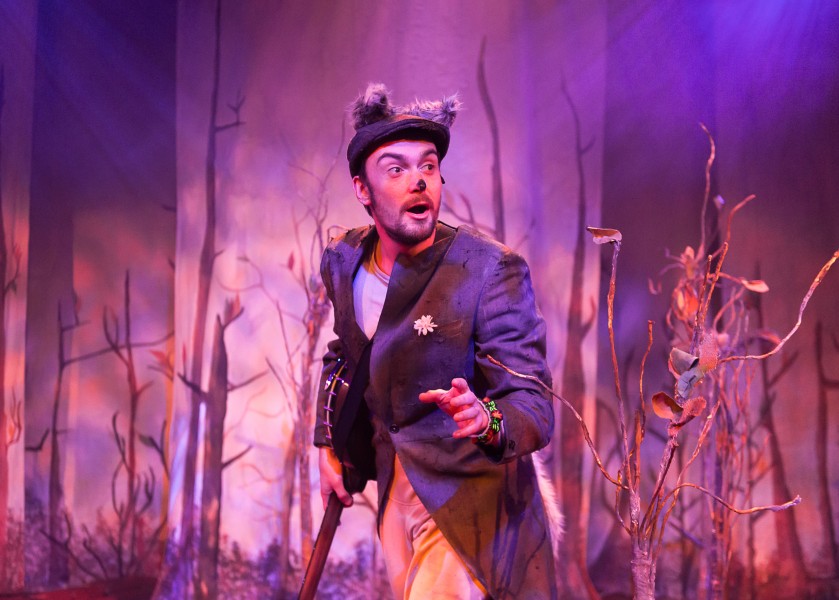 Little Red Christmas Show at Whitby Hall